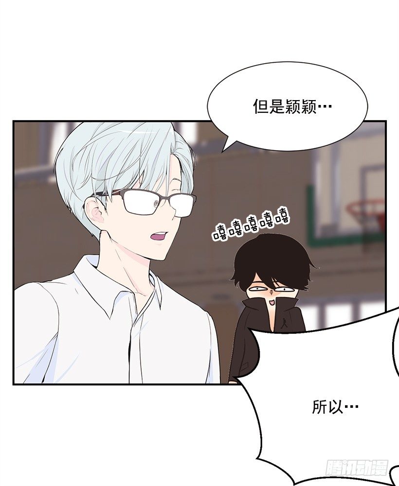 闪闪发光26