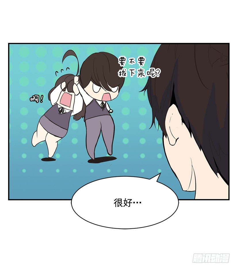 完美组合9