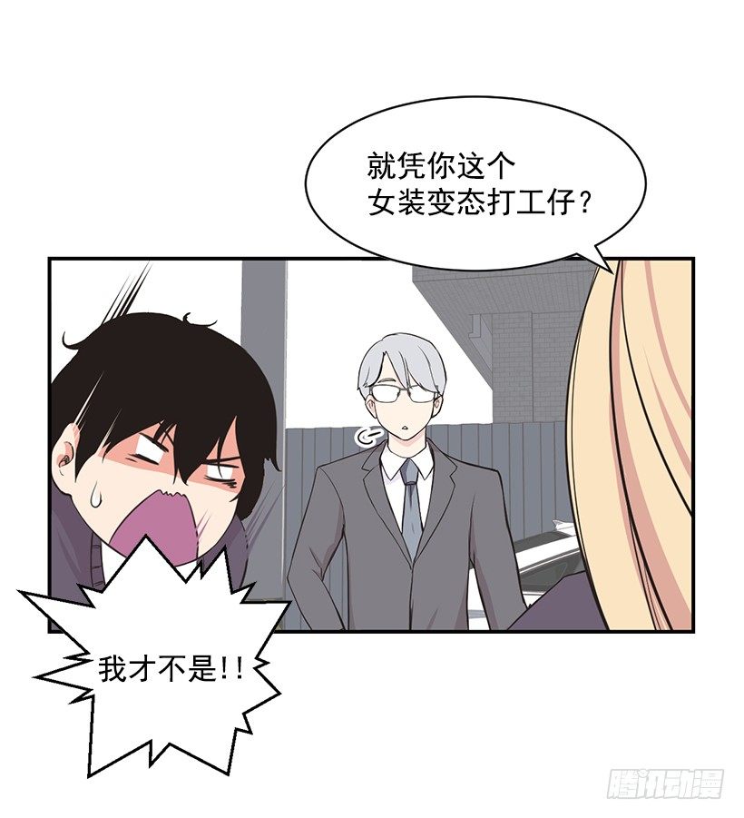 完美组合1