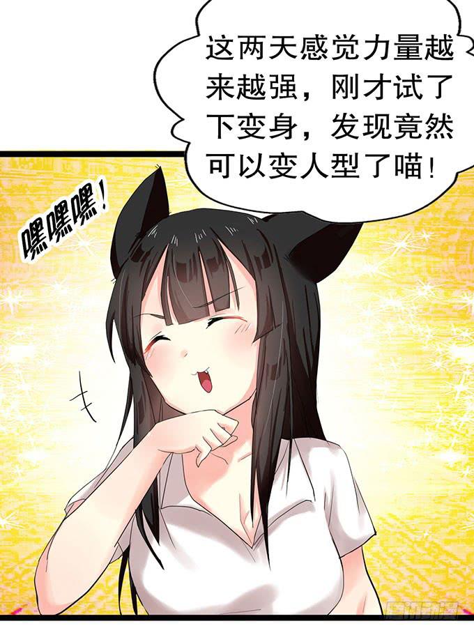 猫耳少女？7