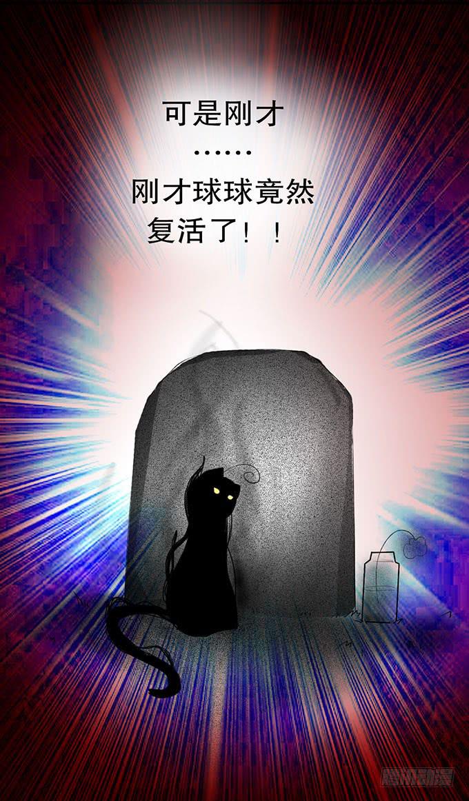 复活的猫！29
