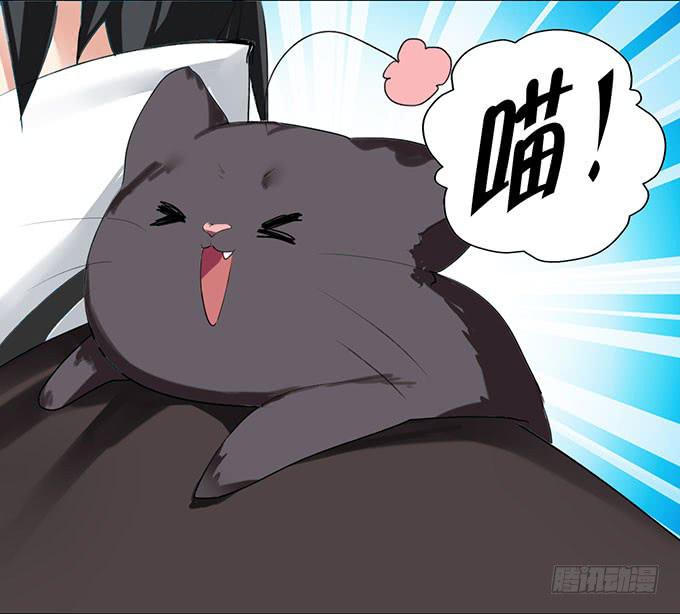 复活的猫！9