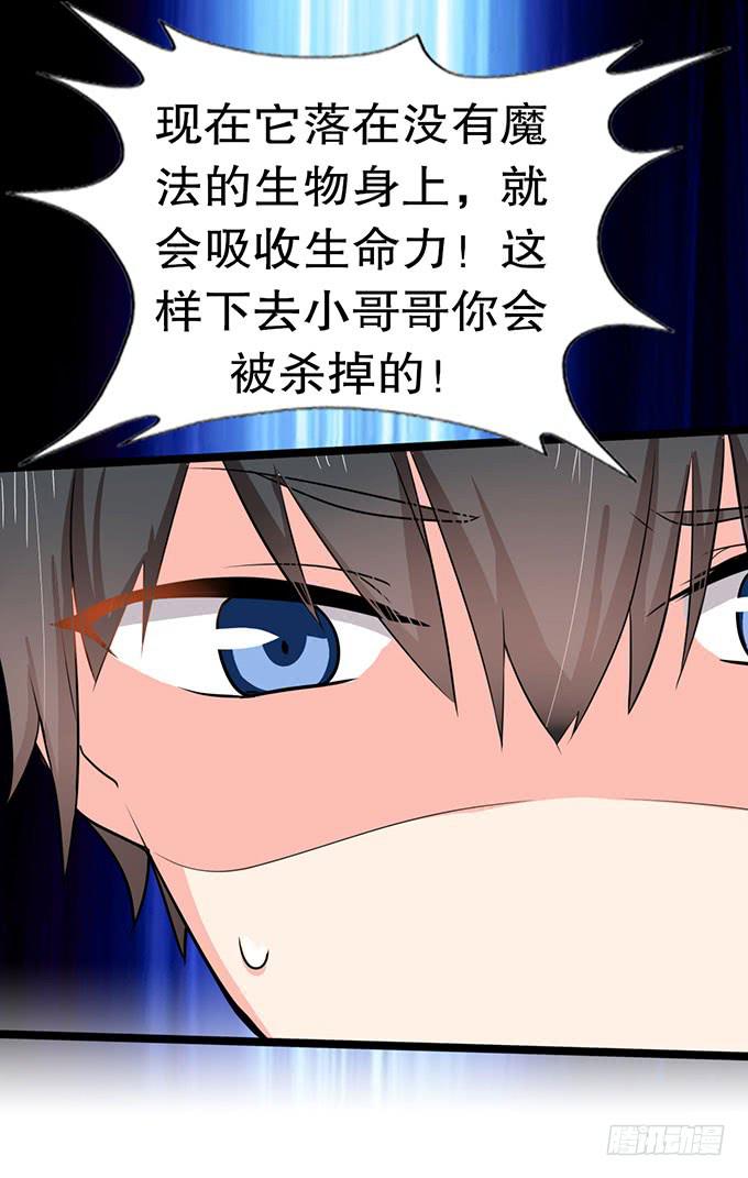 我的使魔12