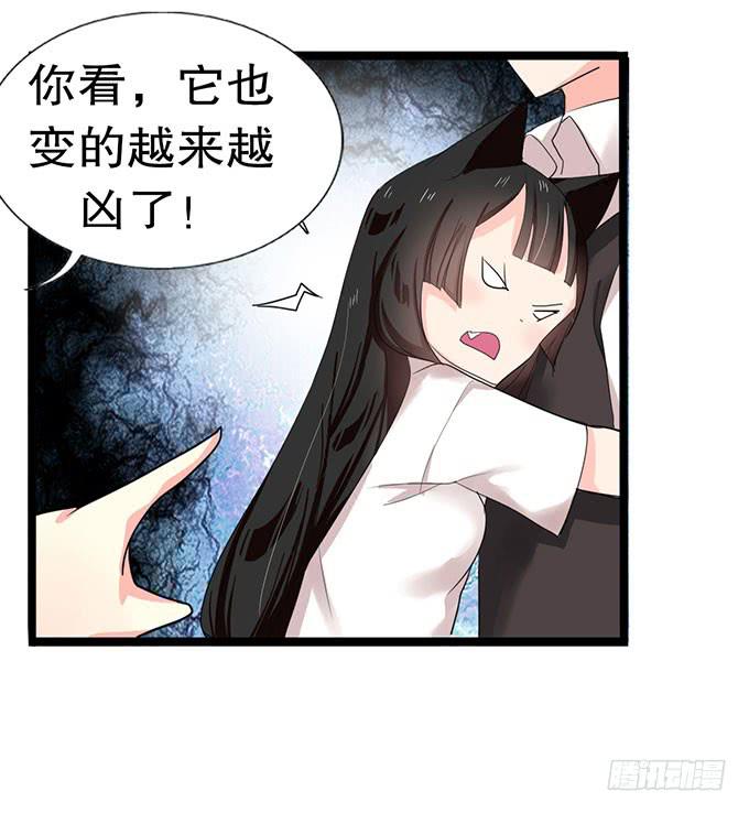 我的使魔13
