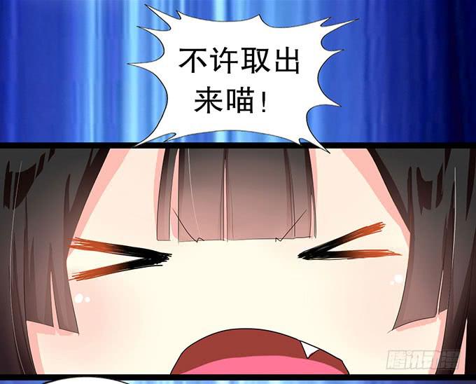 猫耳少女？14
