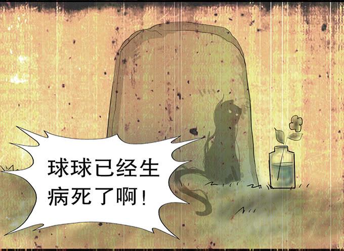 复活的猫！20