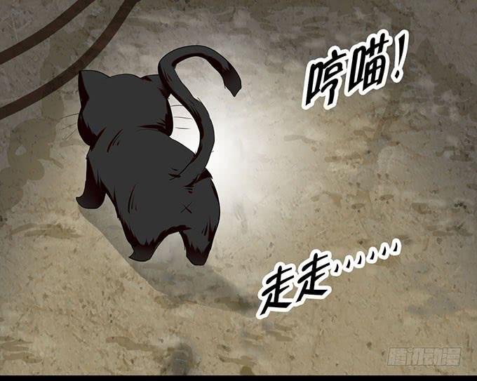 猫咪魔法24