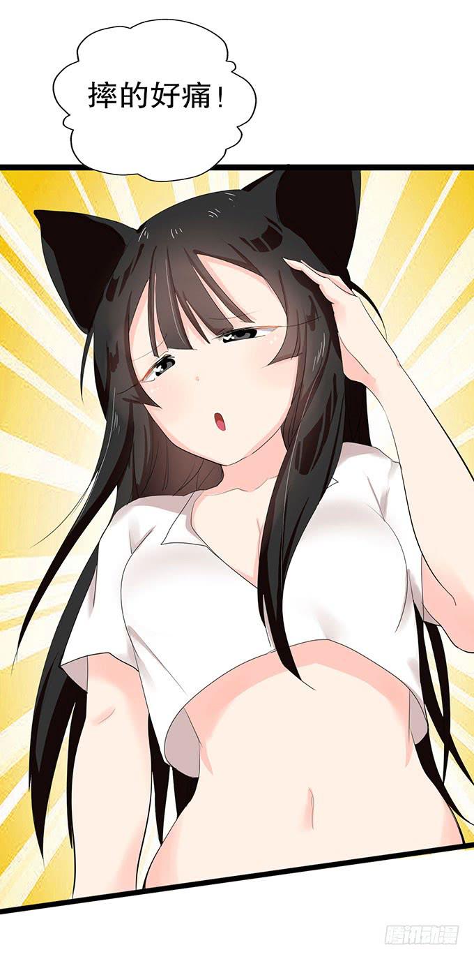 猫耳少女？4