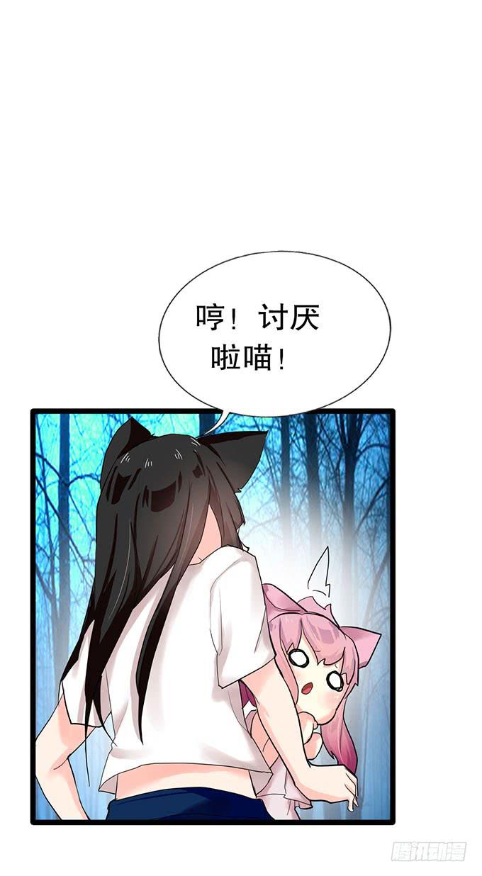 猫耳少女？3