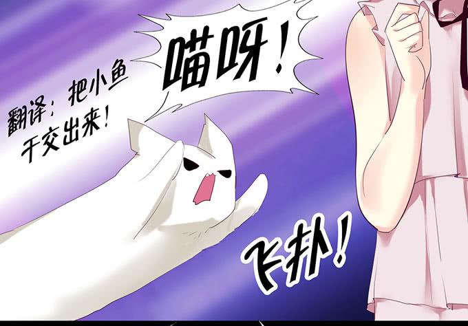 猫咪魔法16