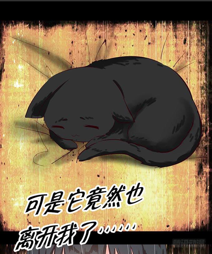 事情的真相！28