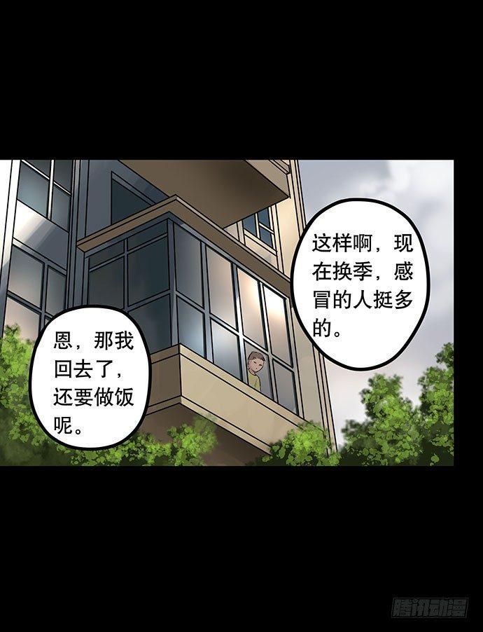 猫-520