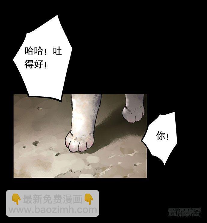 猫-230