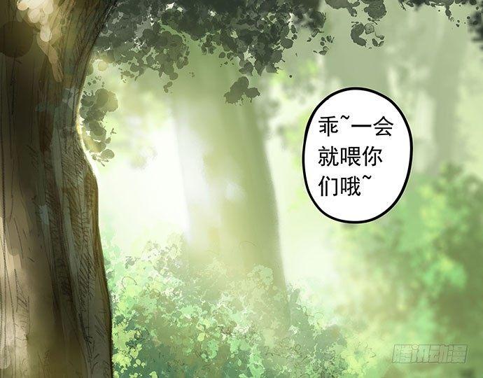 猫-13
