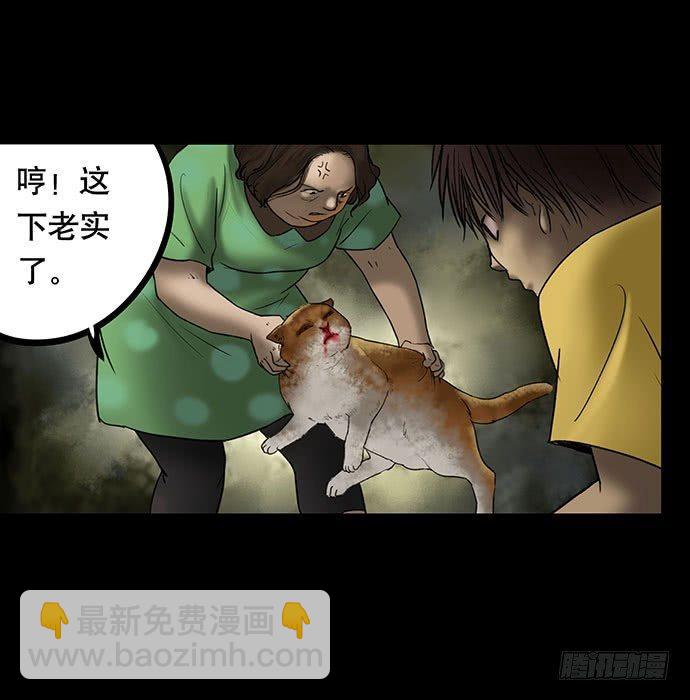 猫-560