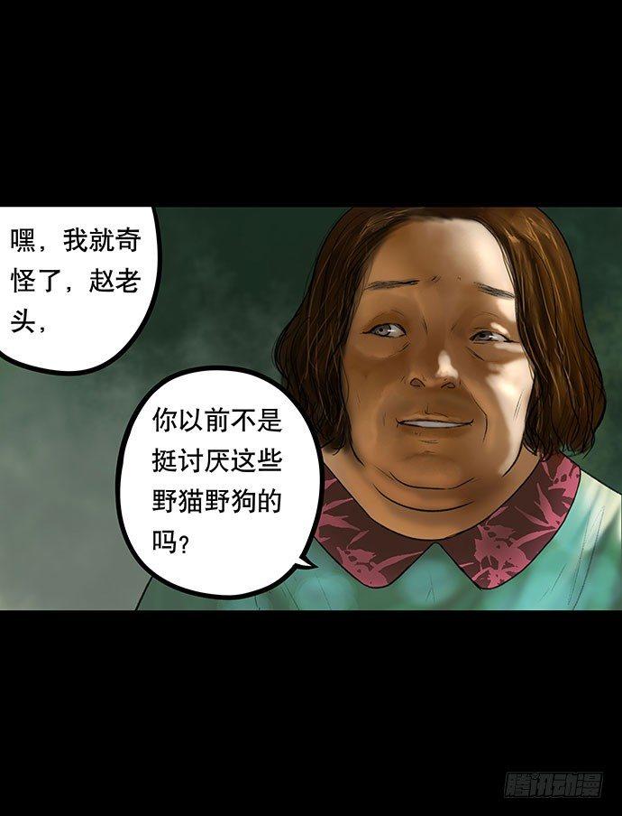 猫-27