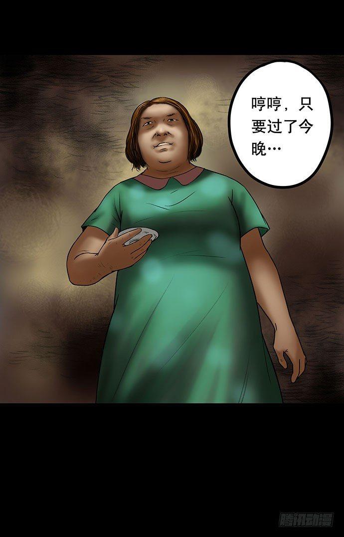 猫-351