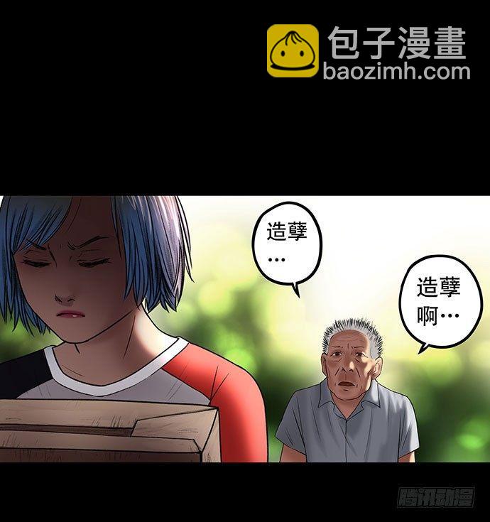 猫-355