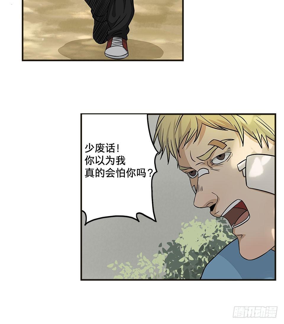 龟-下55