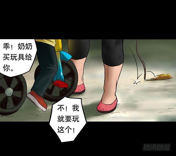 猫-226