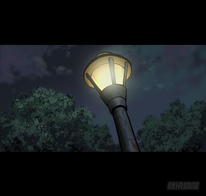 猫-35