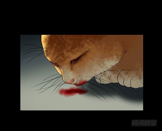 猫-559