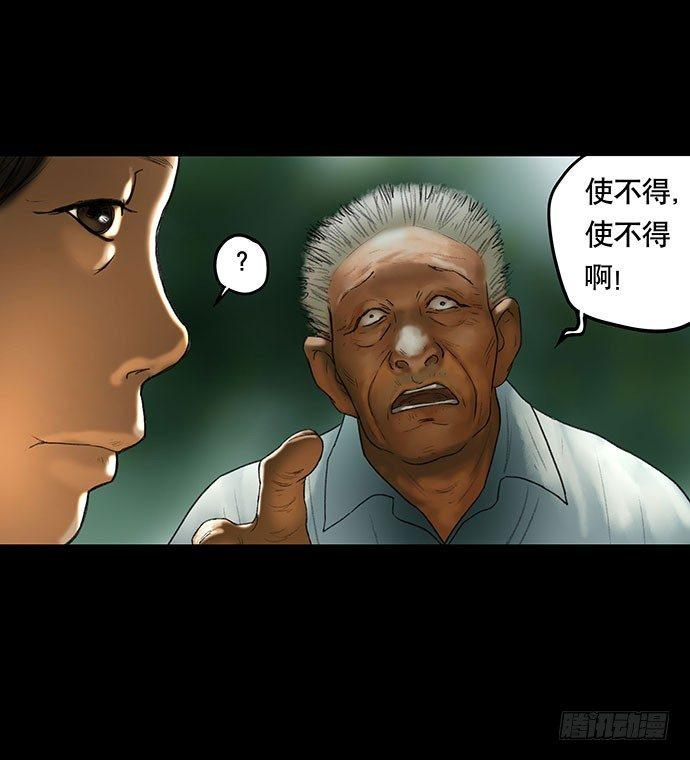 猫-211