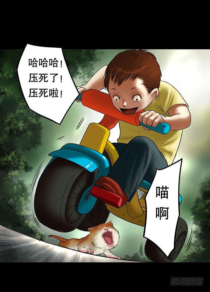 猫-234