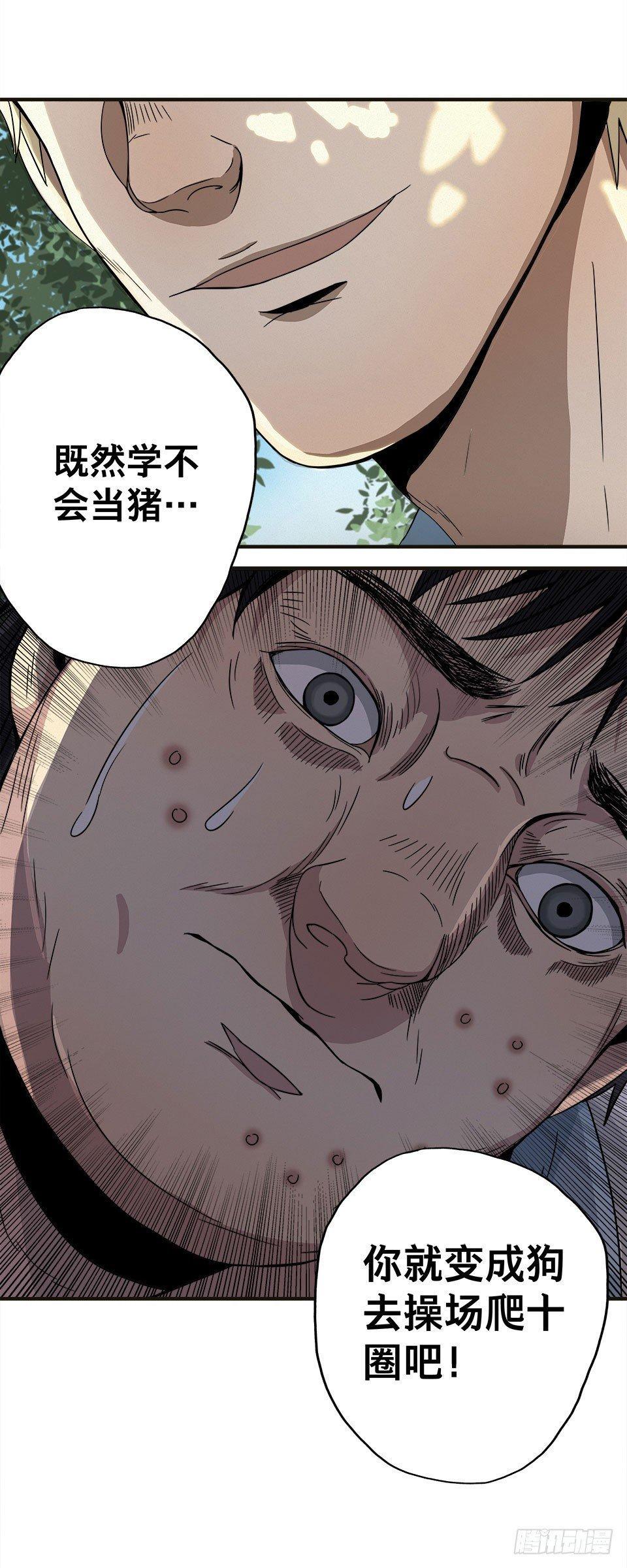 龟-上22