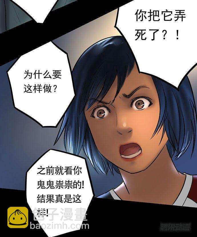 猫-156