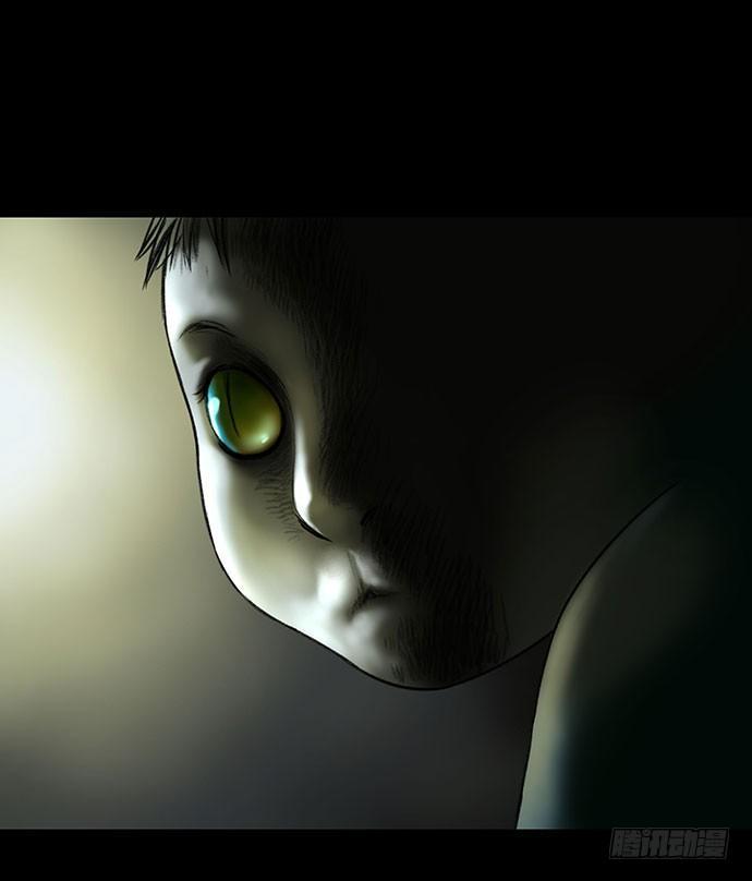 猫-447