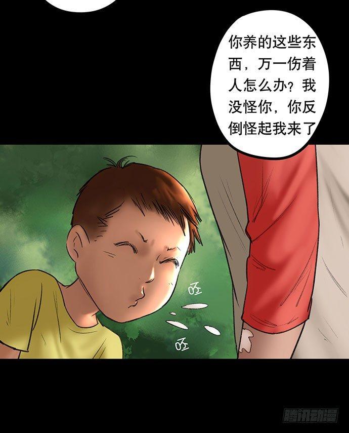 猫-229