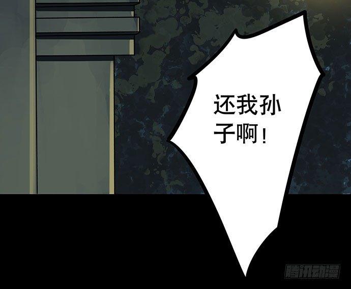 猫-582