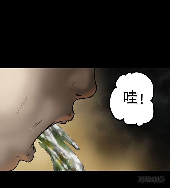 猫-462