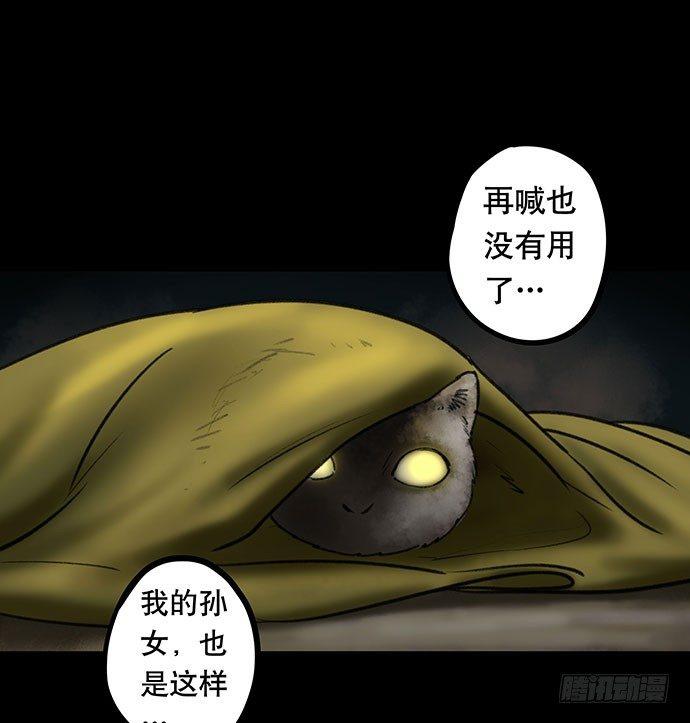 猫-594