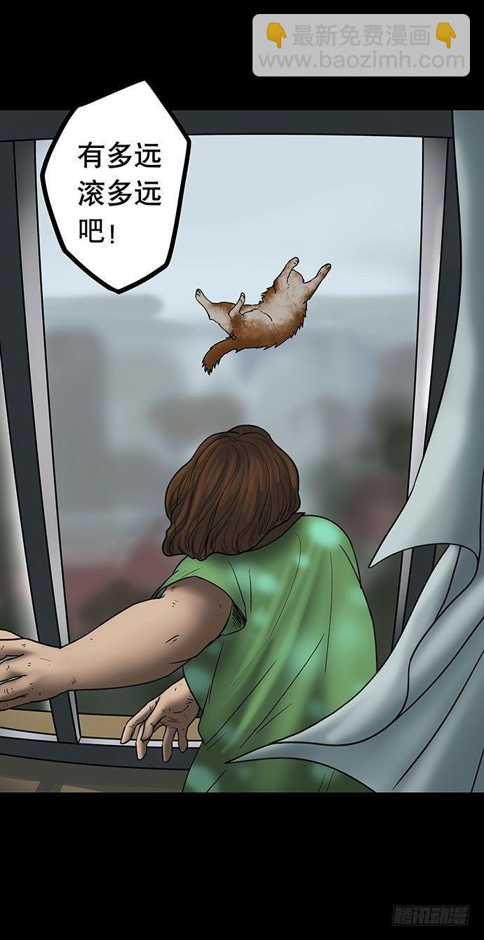 猫-562