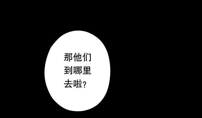 猫-538