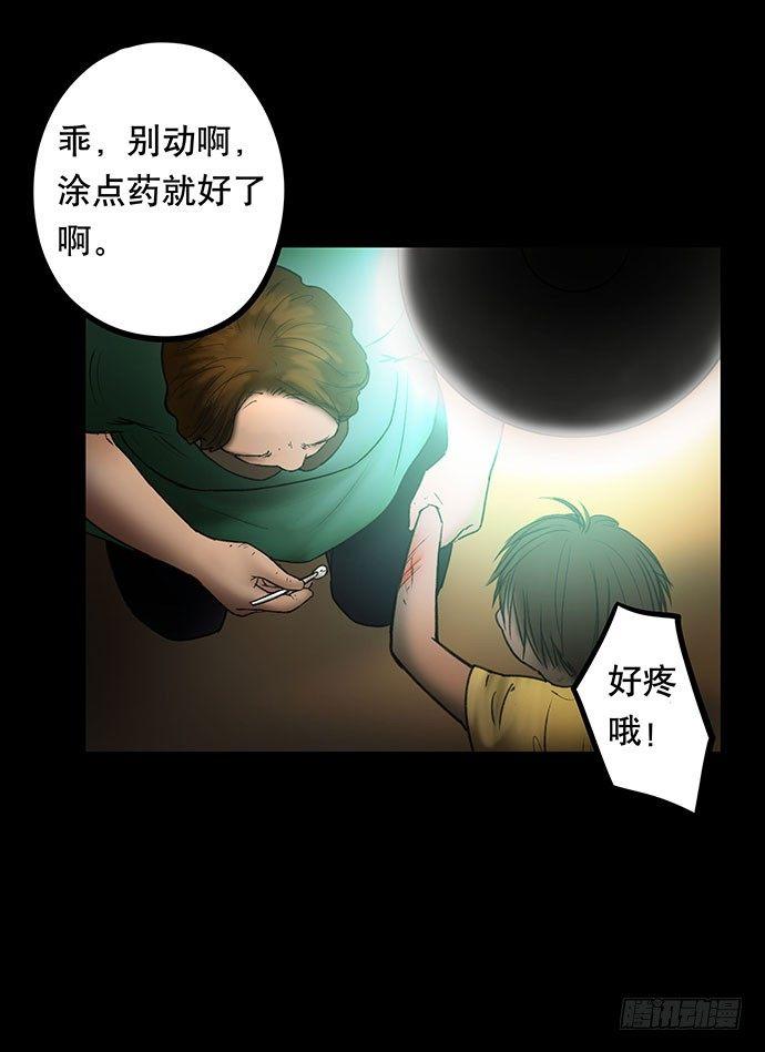 猫-565
