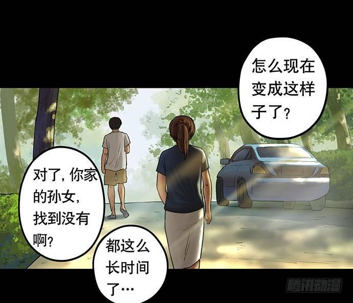 猫-28