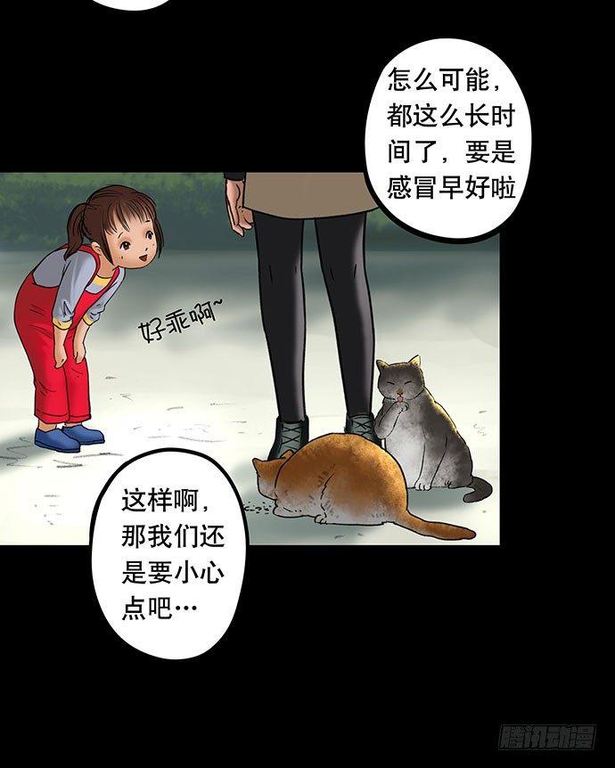 猫-535