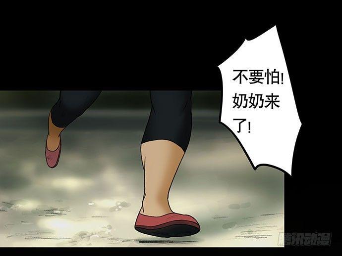 猫-243