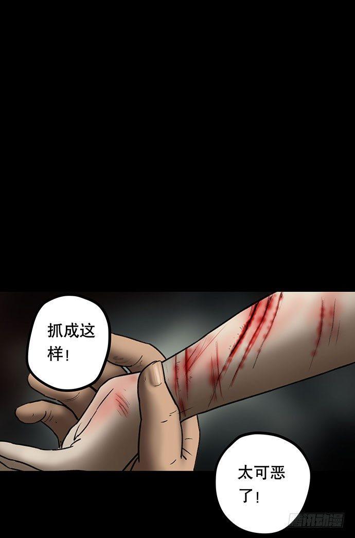 猫-564