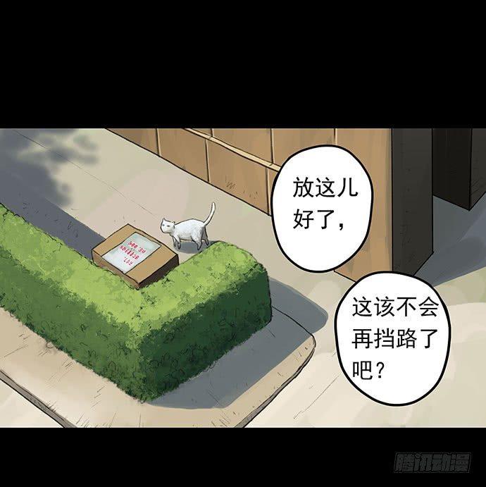猫-143