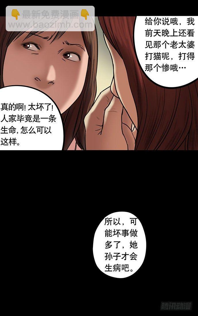 猫-539