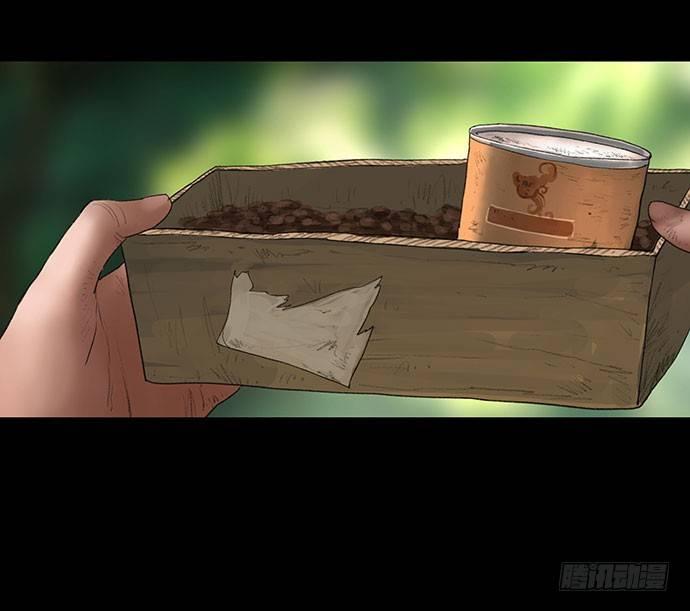 猫-17