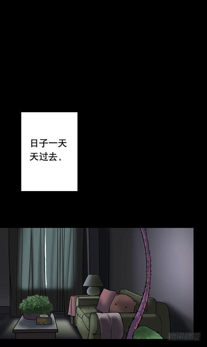 花-334