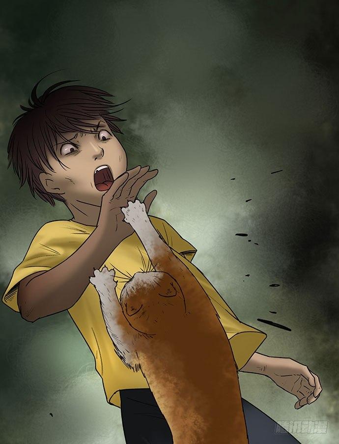 猫-553