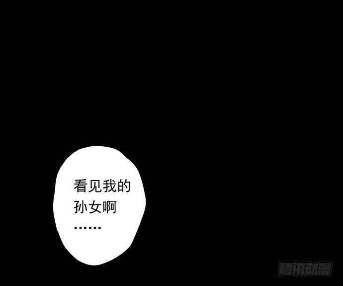 猫-133