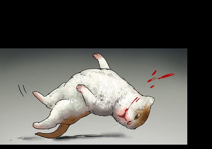 猫-235