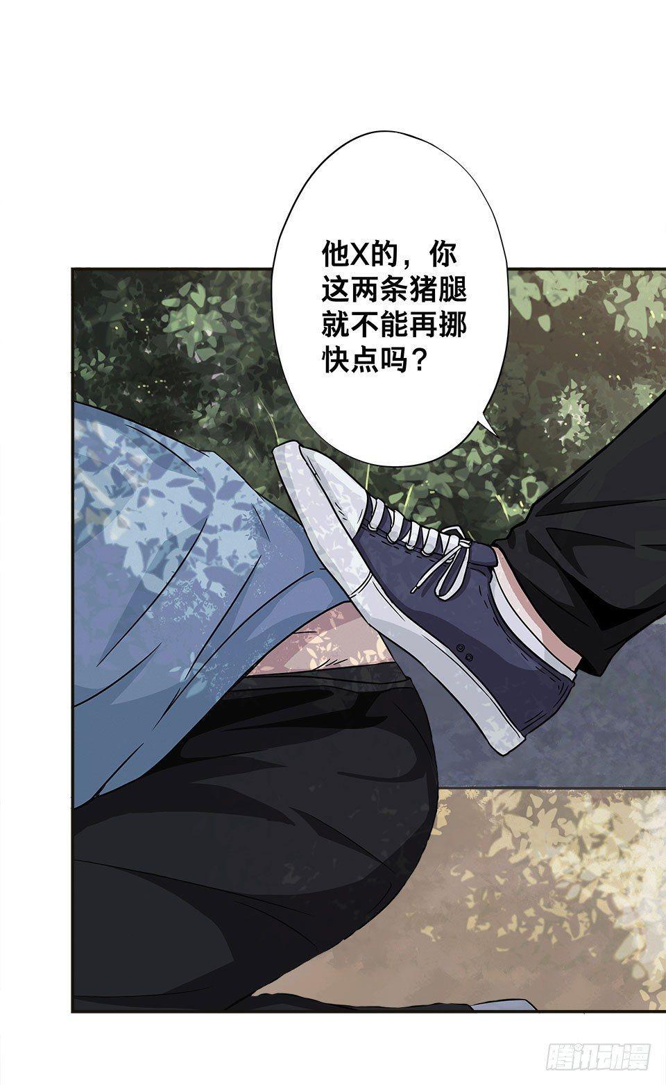 龟-上13